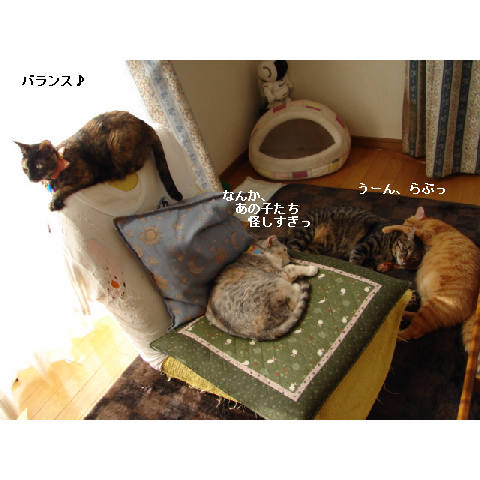 仲良し♪_d0355333_11270746.jpg
