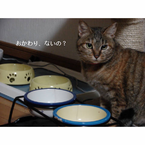 ご紹介♪_d0355333_11271045.jpg