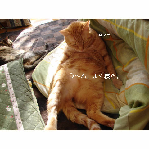 幸せな午後_d0355333_11271258.jpg