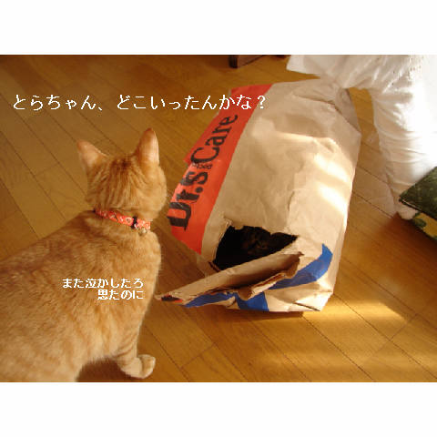 かくれんぼ_d0355333_11272289.jpg