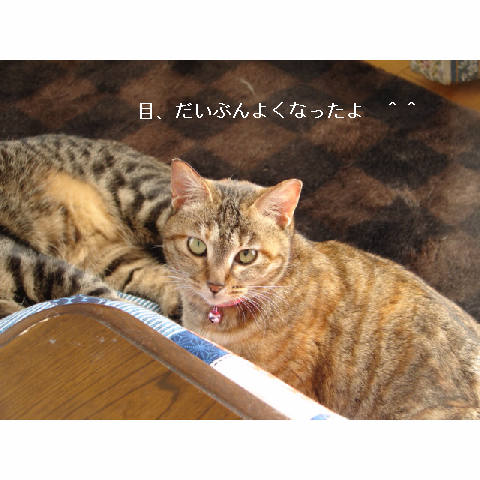 我が家のお正月♪_d0355333_14050380.jpg