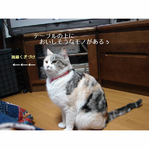 我が家のお正月♪_d0355333_14050404.jpg