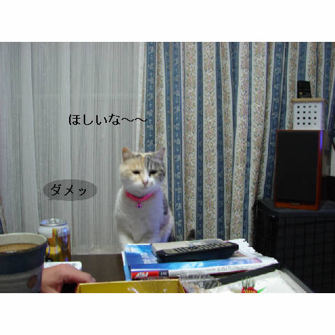 我が家のお正月♪_d0355333_14050462.jpg