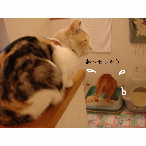 カリカリ食べた!_d0355333_14050524.jpg