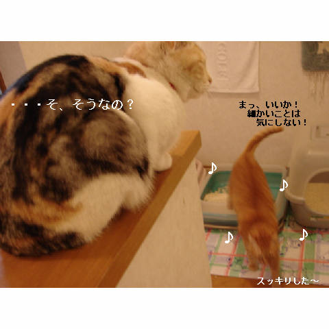 カリカリ食べた!_d0355333_14050661.jpg