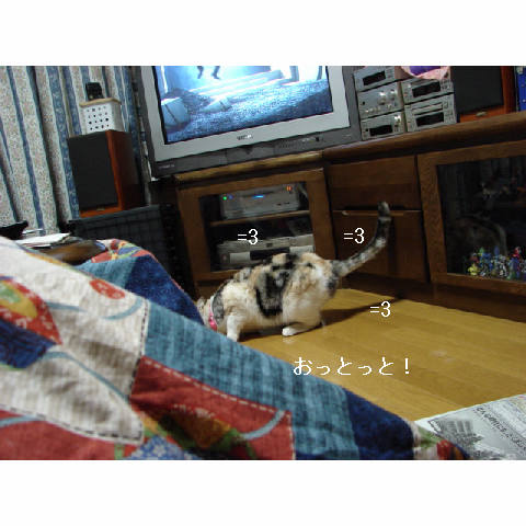 こたつ♪_d0355333_14050833.jpg
