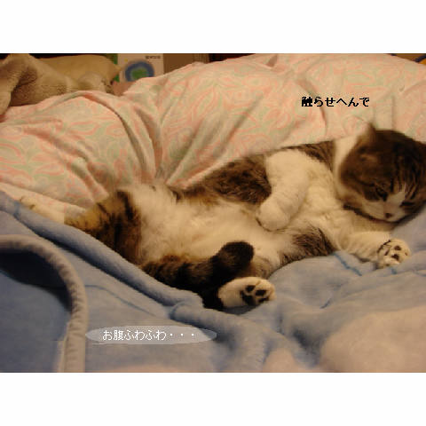 知らない暖かさ_d0355333_14051000.jpg