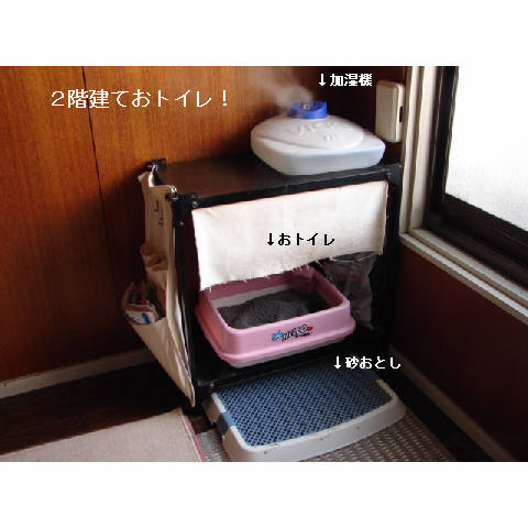 こはるちゃん幸せへの旅立ち_d0355333_14051267.jpg