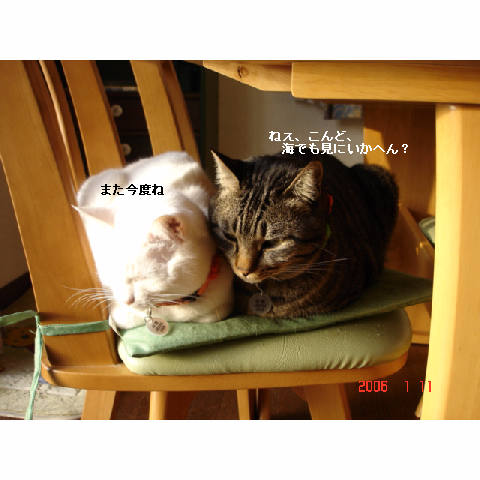 ひま&さくら組_d0355333_14051590.jpg