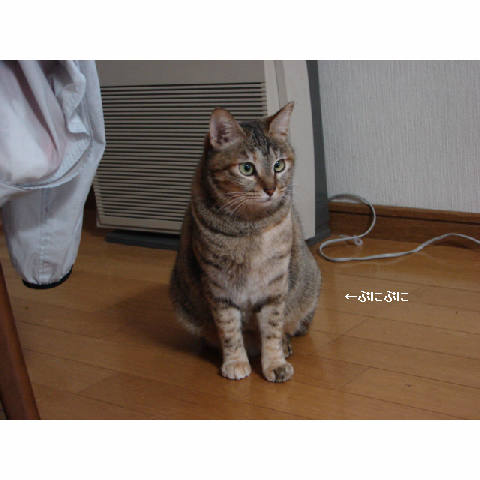 な、なんすか?_d0355333_14051768.jpg