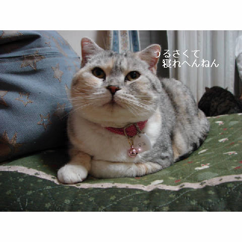 かわいいキャディさん_d0355333_14052187.jpg