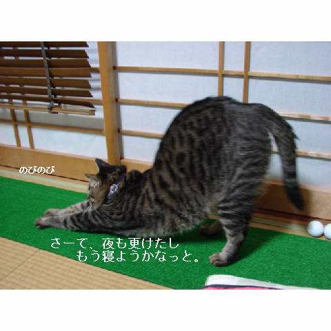 かわいいキャディさん_d0355333_14052279.jpg