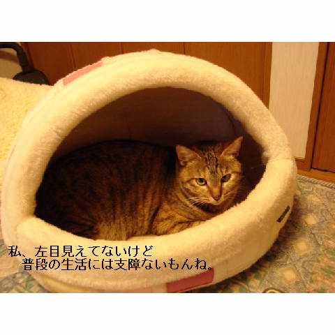 お友達紹介♪_d0355333_14052725.jpg