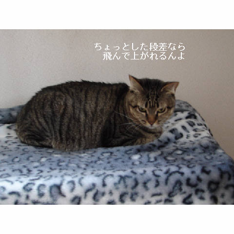 お友達紹介♪_d0355333_14052745.jpg