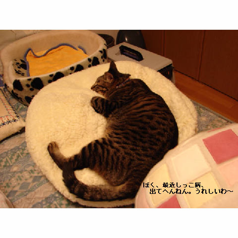 お友達紹介♪_d0355333_14052813.jpg