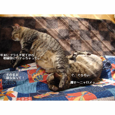 お友達紹介♪_d0355333_14052818.jpg