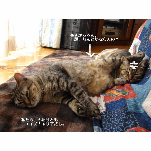 お友達紹介♪_d0355333_14052879.jpg
