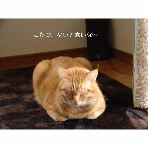 お掃除の朝は_d0355333_14053129.jpg