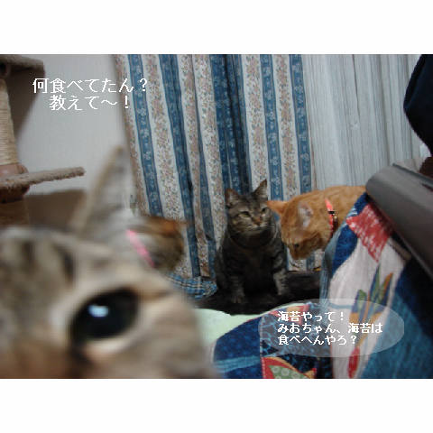 おいしい顔ってどんな顔?_d0355333_14053319.jpg