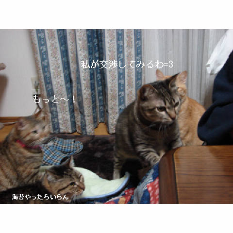 おいしい顔ってどんな顔?_d0355333_14053326.jpg