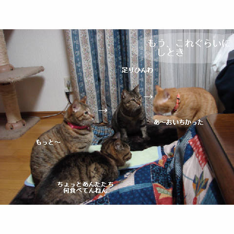 おいしい顔ってどんな顔?_d0355333_14053359.jpg