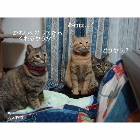 おいしい顔ってどんな顔?_d0355333_14053367.jpg