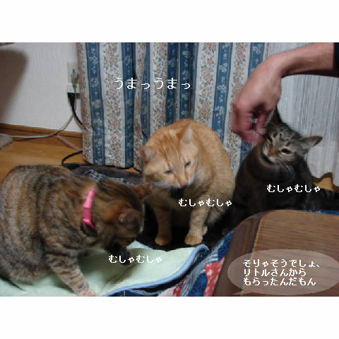 おいしい顔ってどんな顔?_d0355333_14053400.jpg