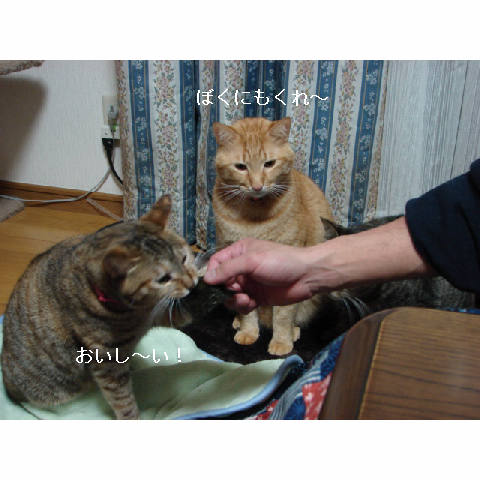 おいしい顔ってどんな顔?_d0355333_14053422.jpg