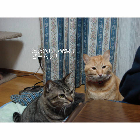 おいしい顔ってどんな顔?_d0355333_14053430.jpg