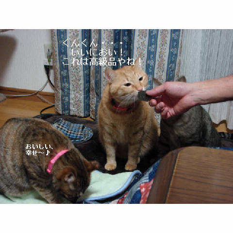 おいしい顔ってどんな顔?_d0355333_14053461.jpg