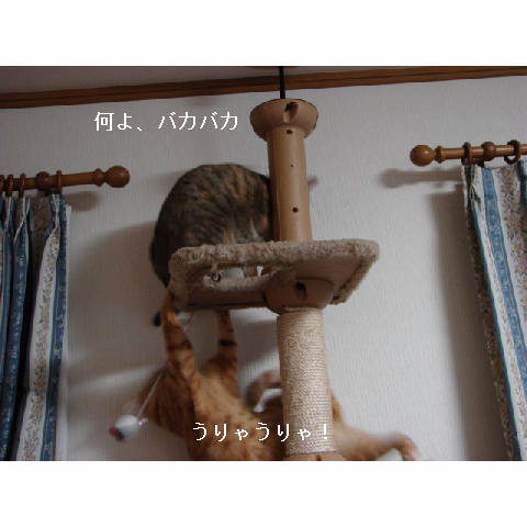 会いに行ってきたよ_d0355333_14053615.jpg