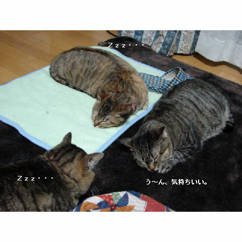 ご注意ください ^^_d0355333_14053924.jpg