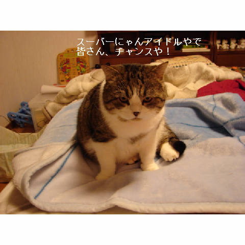 ゆうたの募集地域_d0355333_14054257.jpg