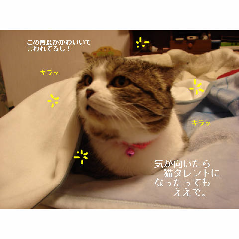 ゆうたの募集地域_d0355333_14054292.jpg