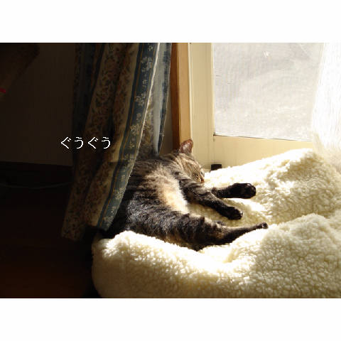 ガッちゃん報告_d0355333_14054325.jpg