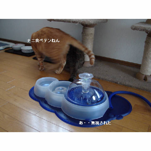ウォーターファウンテンがやってきた_d0355333_14054484.jpg
