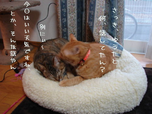 三角関係?_d0355333_14054746.jpg