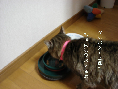 命名。_d0355333_14054901.jpg