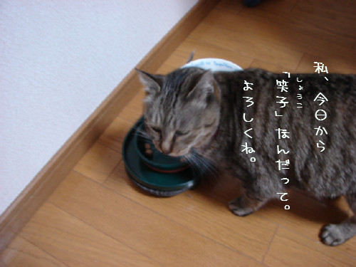 命名。_d0355333_14054932.jpg