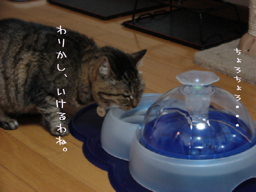 超マイペース_d0355333_14055025.jpg
