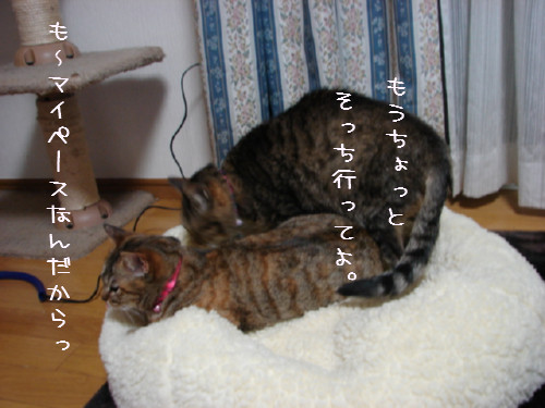 超マイペース_d0355333_14055032.jpg