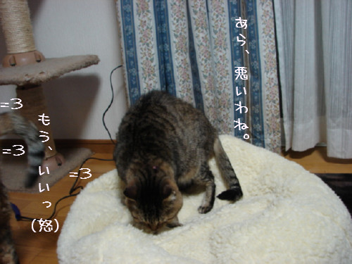 超マイペース_d0355333_14055102.jpg