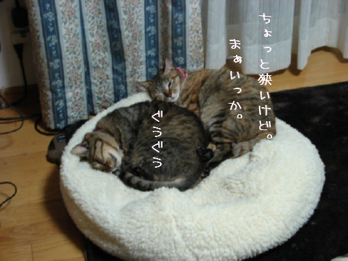 超マイペース_d0355333_14055136.jpg