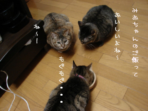 シニア食_d0355333_14055373.jpg