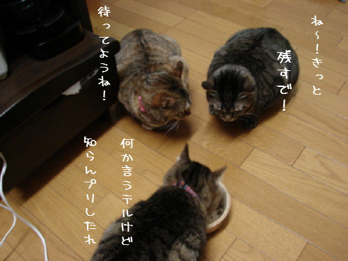 シニア食_d0355333_14055375.jpg