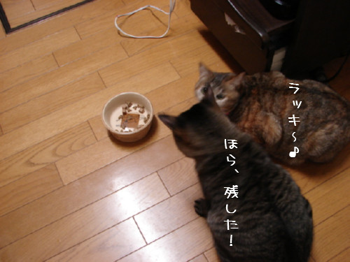 シニア食_d0355333_14055421.jpg