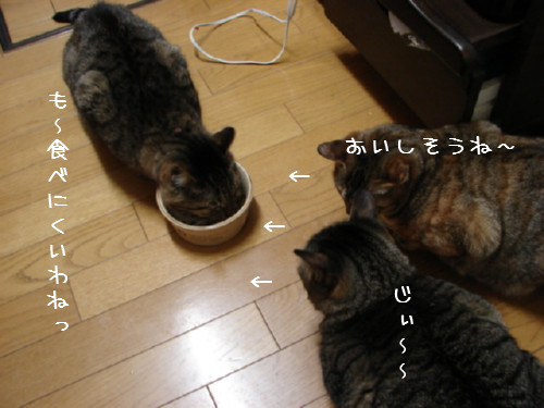 シニア食_d0355333_14055458.jpg