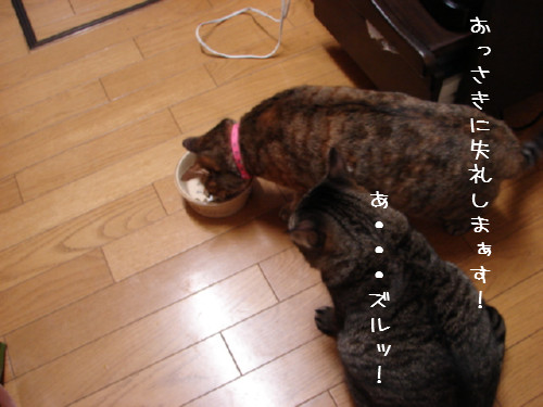 シニア食_d0355333_14055545.jpg