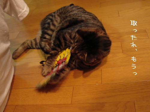 豆まき_d0355333_14060027.jpg