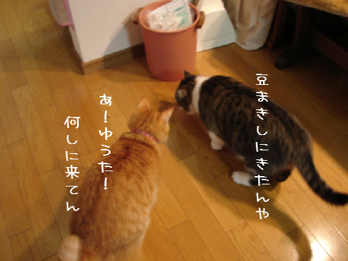 豆まき_d0355333_14060030.jpg